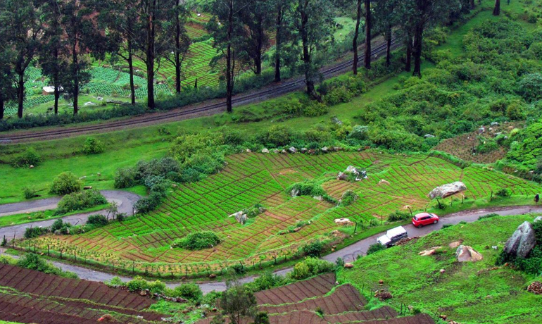Chennai to Ooty One Day Package
