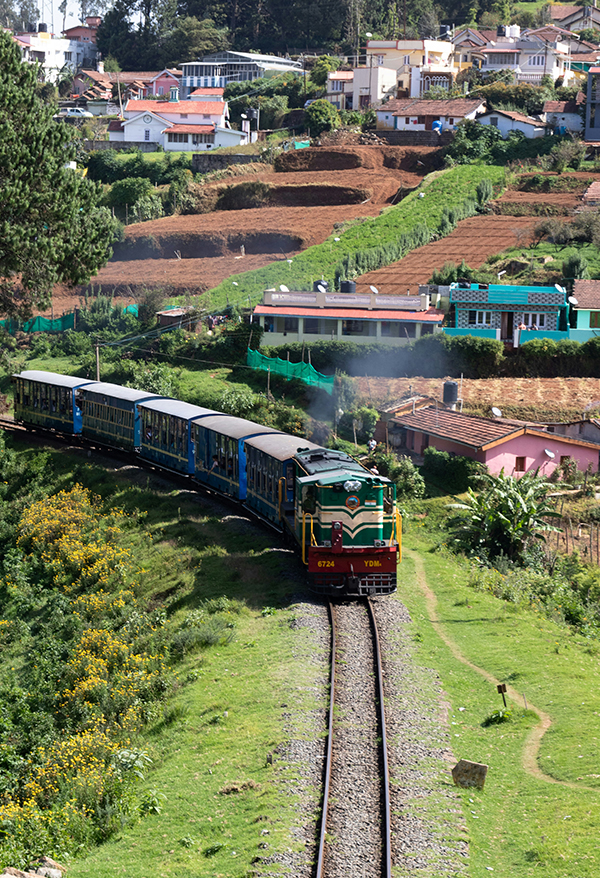 Ooty - One Day Trip or One Day Package Tours from Chennai