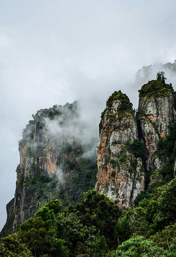 Kodaikanal - One Day Trip or One Day Package Tours from Chennai