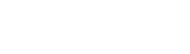 Bala Tour & Travels Logo Light