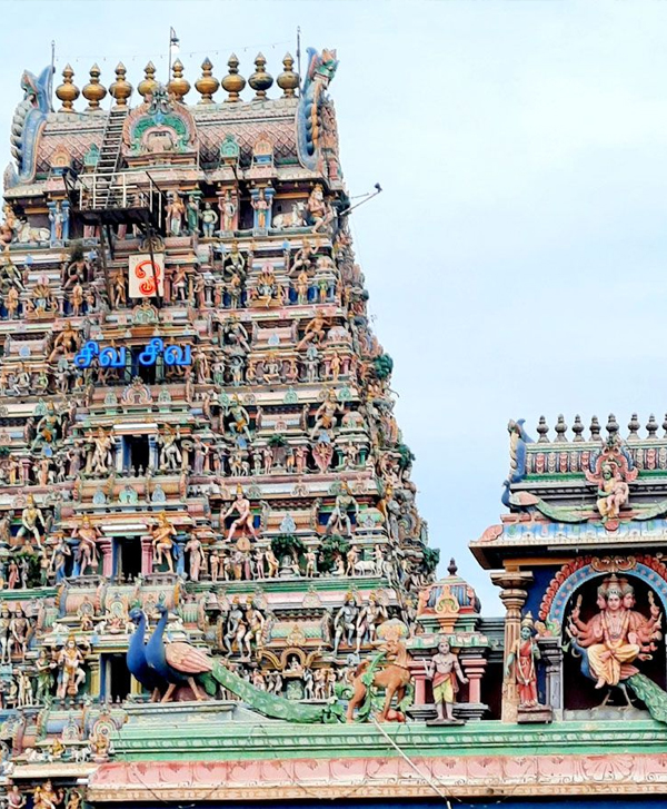 Chennai Local One Day Trip Kapaleeshwarar Temple