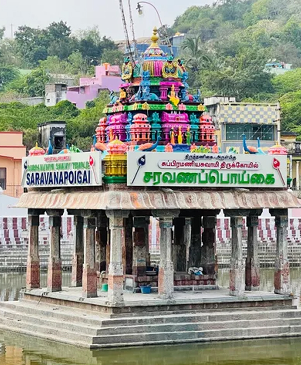 Chennai to Thiruttani One Day Trip Saravana Poigai