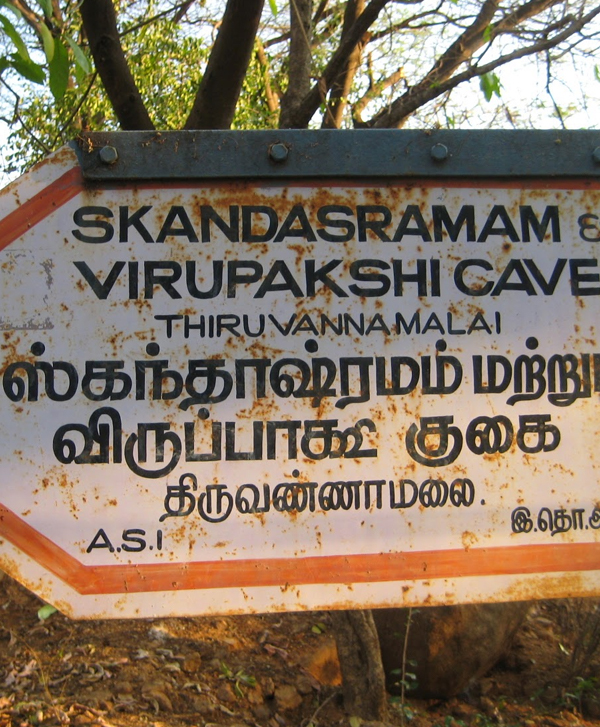 Chennai to Tiruvannamalai One Day Trip Skandashram and Virupaksha Caves