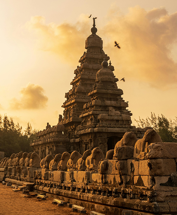 Chennai to Mahabalipuram One Day Trip Seashore Temple
